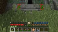 Drops of water indicate thirst level, and globe indicates temperature in the Minecraft modpack (Image via Reddit/u/OwehMDD)